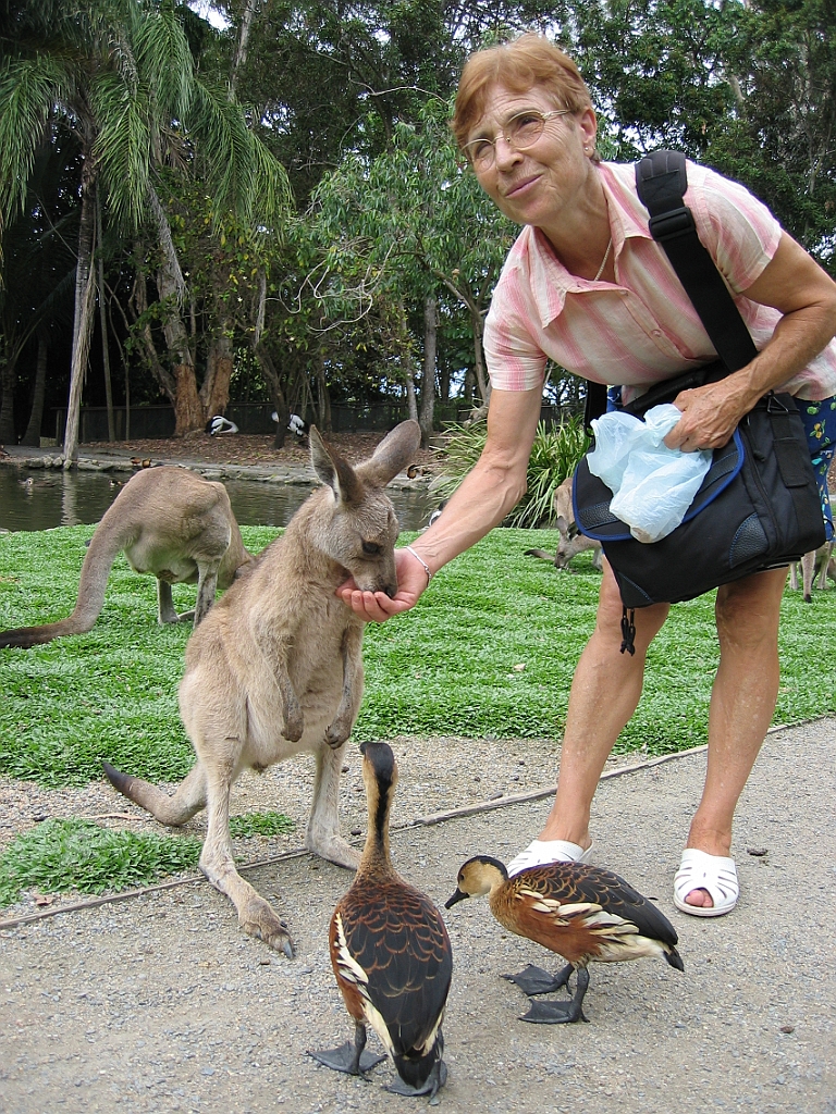 109 Port Douglas Wildlife Habitat.jpg
